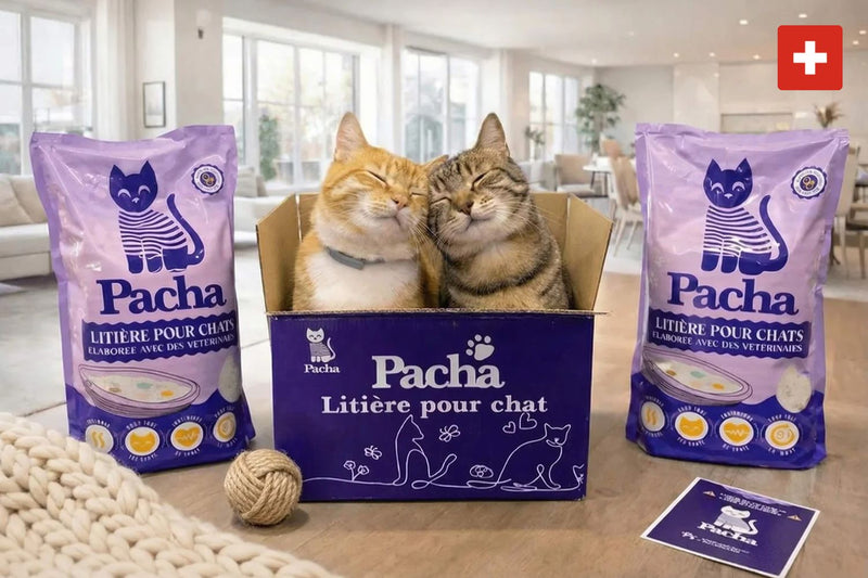 Protect Your Cat’s Health Daily